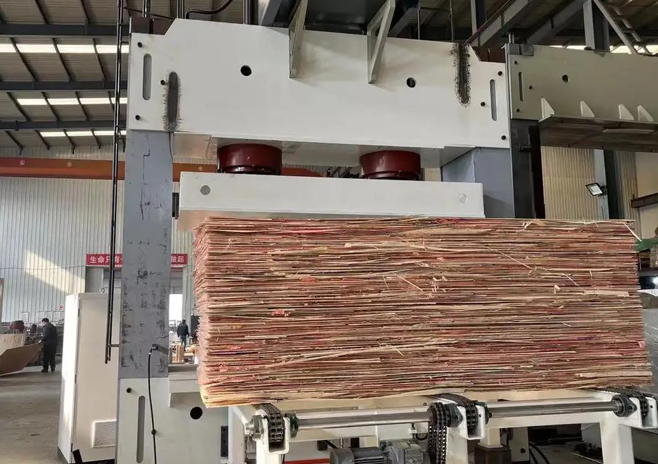 What is plywood cold press?